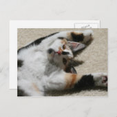 Hope's Briefkaart (Voorkant / Achterkant)