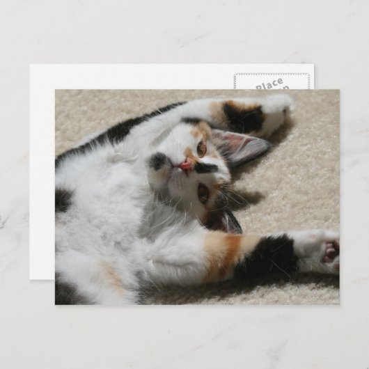 Hope's Briefkaart (Voorkant / Achterkant)