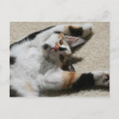 Hope's Briefkaart (Voorkant)