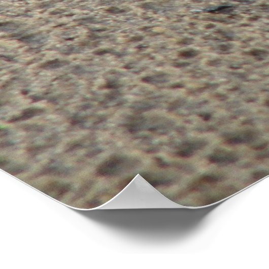 Hope's Pawprints in de Sand Gloss Canvas UV Poster (Hoek)