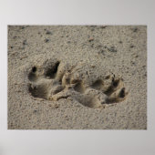 Hope's Pawprints in de Sand Gloss Canvas UV Poster (Voorkant)