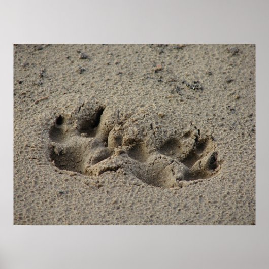 Hope's Pawprints in de Sand Gloss Canvas UV Poster (Voorkant)