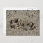 Hope's Pawprints in de zand Briefkaart (Voorkant / Achterkant)