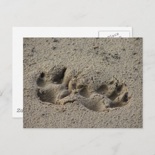 Hope's Pawprints in de zand Briefkaart (Voorkant / Achterkant)