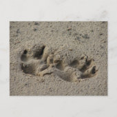Hope's Pawprints in de zand Briefkaart (Voorkant)