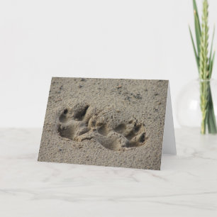 Hope's Pawprints in de zand Kaart