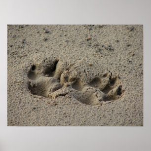Hope's Pootafdrukken in het Zand Glans Canvas UV Poster