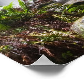 hopetoun watervalt australië poster VANAF 14.95 (Hoek)