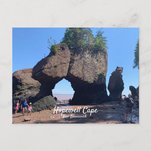 Hopewell Cape New Brunswick Briefkaart (Voorkant)