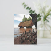 Hopewell Flowerpot Rocks New Brunswick Briefkaart (Staand voorkant)