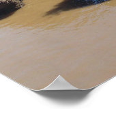 Hopewell Rocks 119 Poster (Hoek)