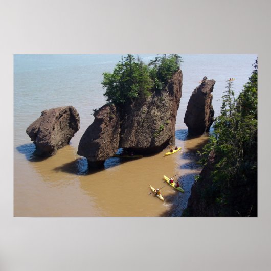 Hopewell Rocks 119 Poster (Voorkant)