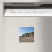 Hopewell Rocks en de Ocean Tidal Exploration Magneet (Insitu (Vaatwasser))