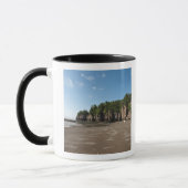 Hopewell Rocks en The Ocean Tidal Exploration Mok (Links)