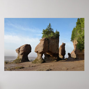 Hopewell Rocks in de zonsopgang Poster