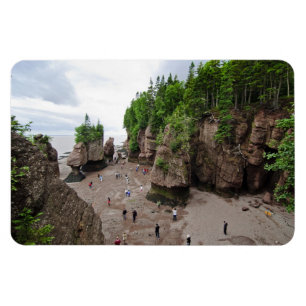 Hopewell Rocks Low Tide Canada Flex Magnet Magneet