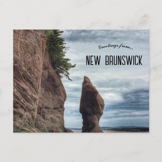 Hopewell Rocks Provincial Park New Brunswick Briefkaart (Voorkant)
