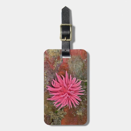 Hopkins Roos Nudibranch Bagagelabel (Voorkant verticaal)