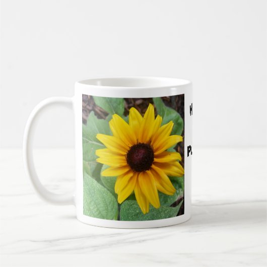 HOPONOPONO COLECTION MOKKEN ENGELSE TAAL (Links)