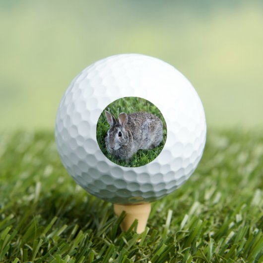 Hoppelend konijn golfballen (Insitu Shirt)