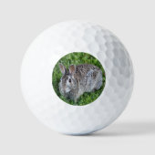 Hoppelend konijn golfballen (Voorkant)