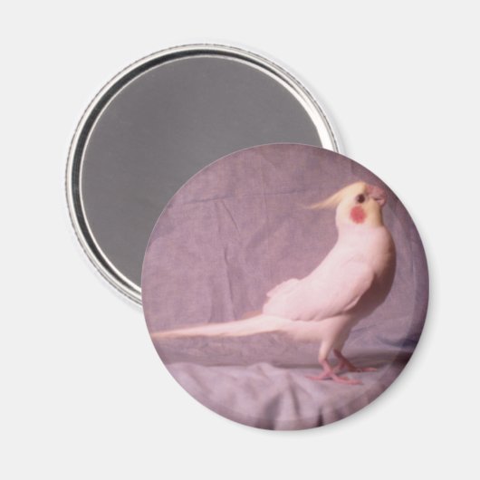 HOPPER magneet (Voorkant / Achterkant)