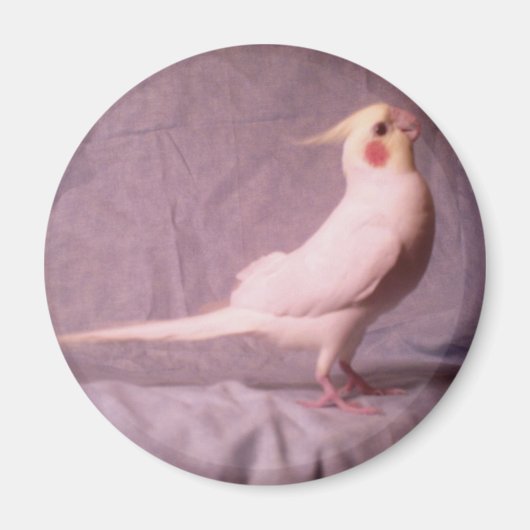 HOPPER magneet (Voorkant)