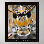 Hopper Poster (Voorkant)