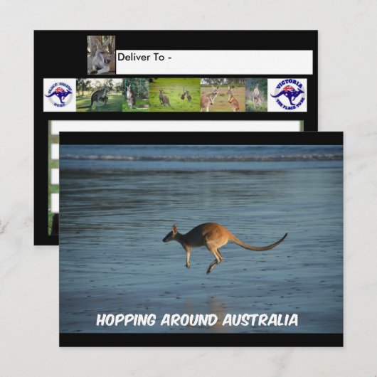 Hopping rond het Australische Briefkaart Kangaroo (Voorkant / Achterkant)