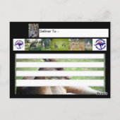 Hopping rond het Australische Briefkaart Kangaroo (Achterkant)