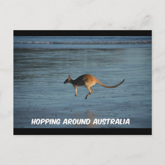 Hopping rond het Australische Briefkaart Kangaroo