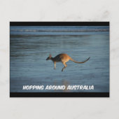 Hopping rond het Australische Briefkaart Kangaroo (Voorkant)