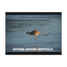 Hopping rond het Australische Briefkaart Kangaroo