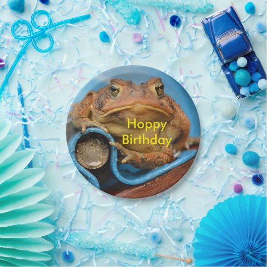 Hoppy Birthday Toad Papieren Bordje (Feest)