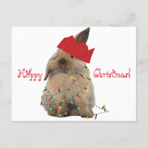 Hoppy Briefkaart van het Konijntje van Kerstmis