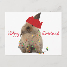 Hoppy Briefkaart van het Konijntje van Kerstmis