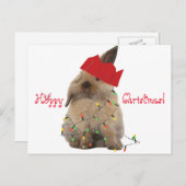 Hoppy Briefkaart van het Konijntje van Kerstmis (Voorkant / Achterkant)