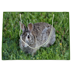Hoppy Bummy Groot Cadeauzakje