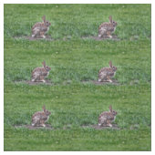 Hoppy Bunny fabric Stof (Swatch)