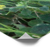 Hoppy Bunny Poster (Hoek)