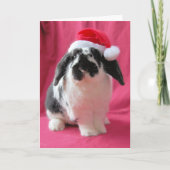 Hoppy Feestdagen Holiday Card Kaart (Voorkant)