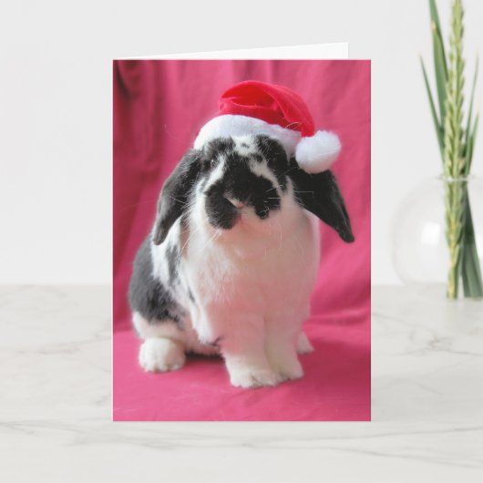 Hoppy Feestdagen Holiday Card Kaart (Voorkant)