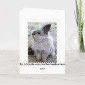 Hoppy Konijntje van de Verjaardag Kaart (Achterkant)