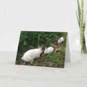 Hoppy Moederdag Kaart (Voorkant)