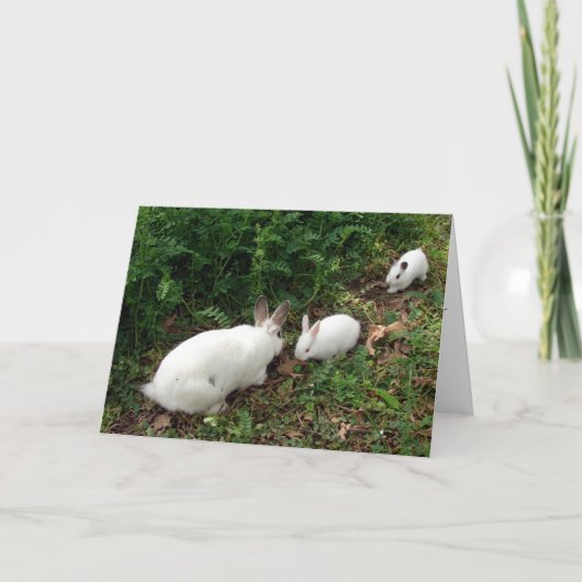 Hoppy Moederdag Kaart (Voorkant)