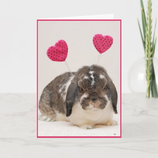 Hoppy Valentijnsdag Holiday Card Feestdagen Kaart (Voorkant)
