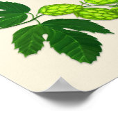Hops Plant Bierbrouwerij Print met (Hoek)