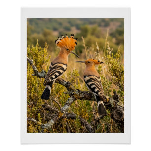 Hopvogels in natuur landschap wild fleece B Perfect Poster