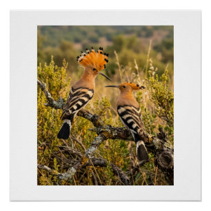 Hopvogels in natuur landschap wild fleece B Perfect Poster