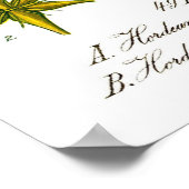 Hordeum Vulgare Barley Grass Poster (Hoek)